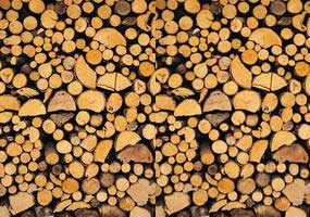 Guida all'avviamento di un'attività di riciclaggio del legno
